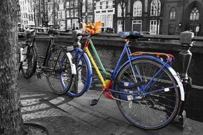 bicycles parked on the waterfront