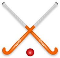 sticks for hockey with a ball as a graphic image