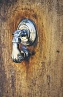 picture of the doorknocker on wooden door