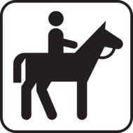 riding horse pony drawing