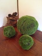 grass balls like japanese decor
