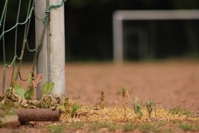 the lower part of the football goal