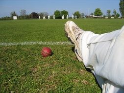 player at the cricket ground