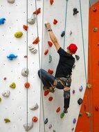 climbing wall bodybuilding