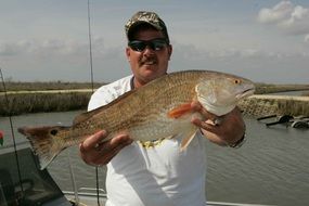 catch fish