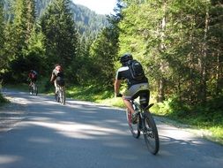 cycling on the transalp route with green plants