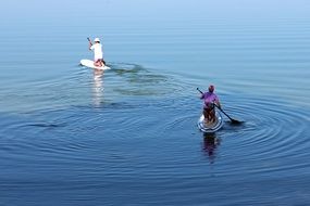 Paddle surfing in the water