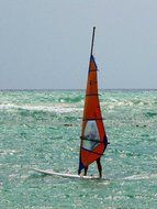 windsurfing, red sail on green sea
