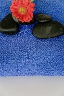 red flower and black stones on a blue towel