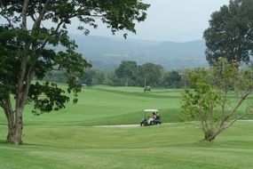 fog over the golf course