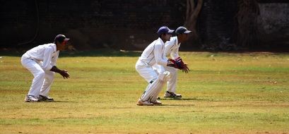 Cricketers on the field