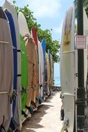 surfboards on a beach