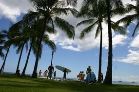 people under palm trees on a Hawaiian beach