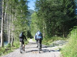cycling in the transalp woods