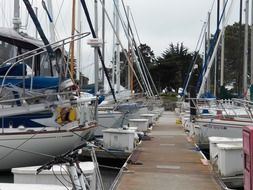 sailing boats stand in the harbor
