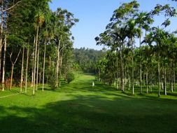 golf sport course