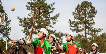 Players in the polo-cross