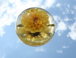 paperweight