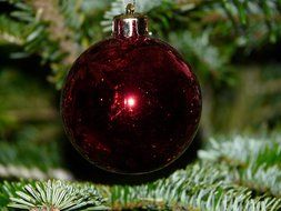 glass christmas ball on tree