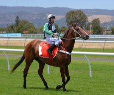 jockey on the horse