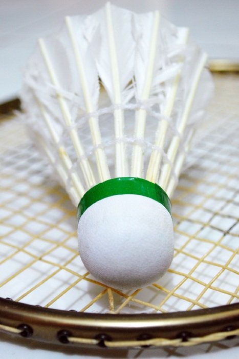 shuttlecock on a racket close-up