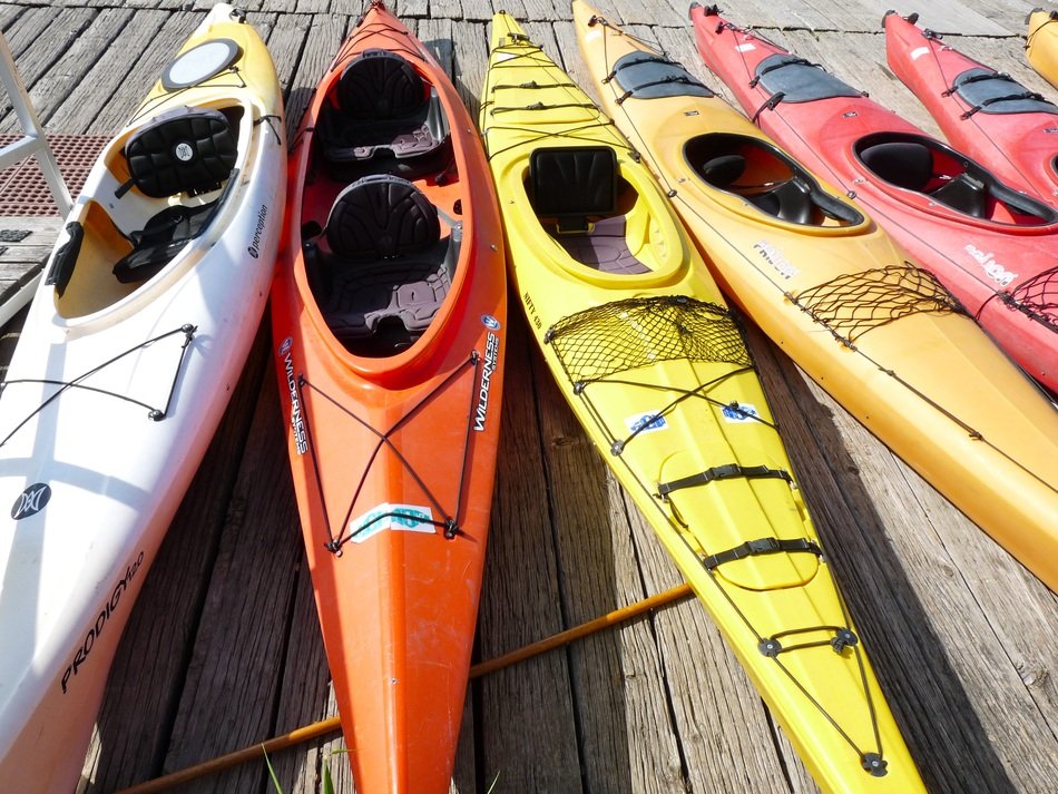 row of bright sports kayaks