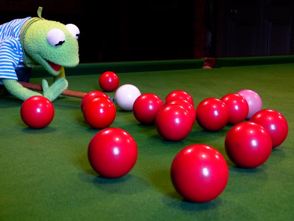 green frog is playing pool