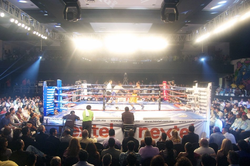 boxers in the ring while playing