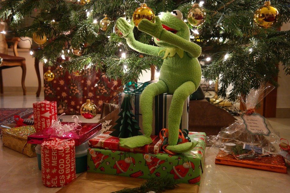 kermit the frog under christmas tree
