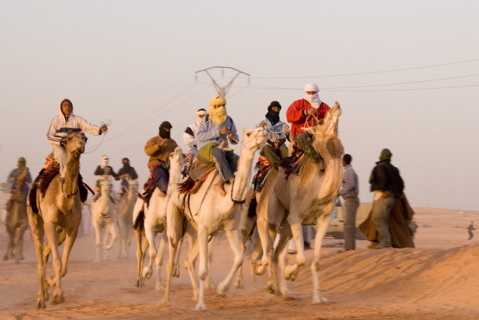camel race algeria desert