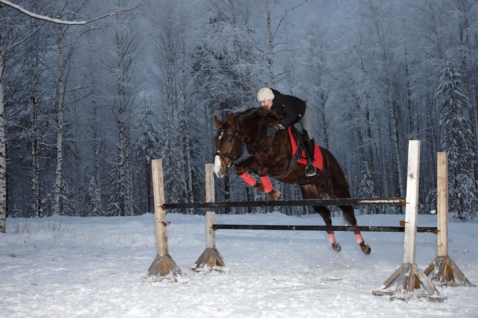 horsewoman makes a jump over an obstacle