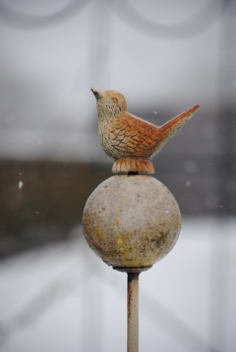 decoration in the form of a ball with a bird in the winter on the street