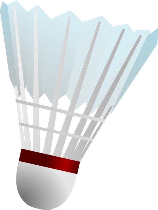graphic image of a badminton shuttlecock