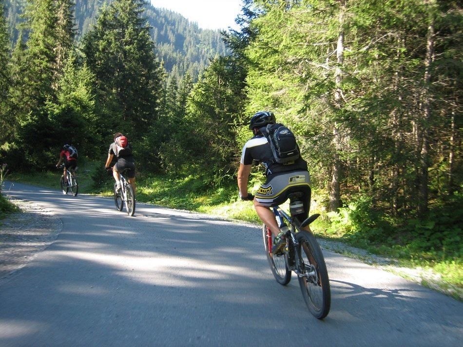 cycling on the transalp route with green plants