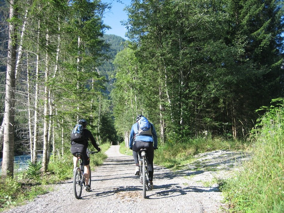 cycling in the transalp woods