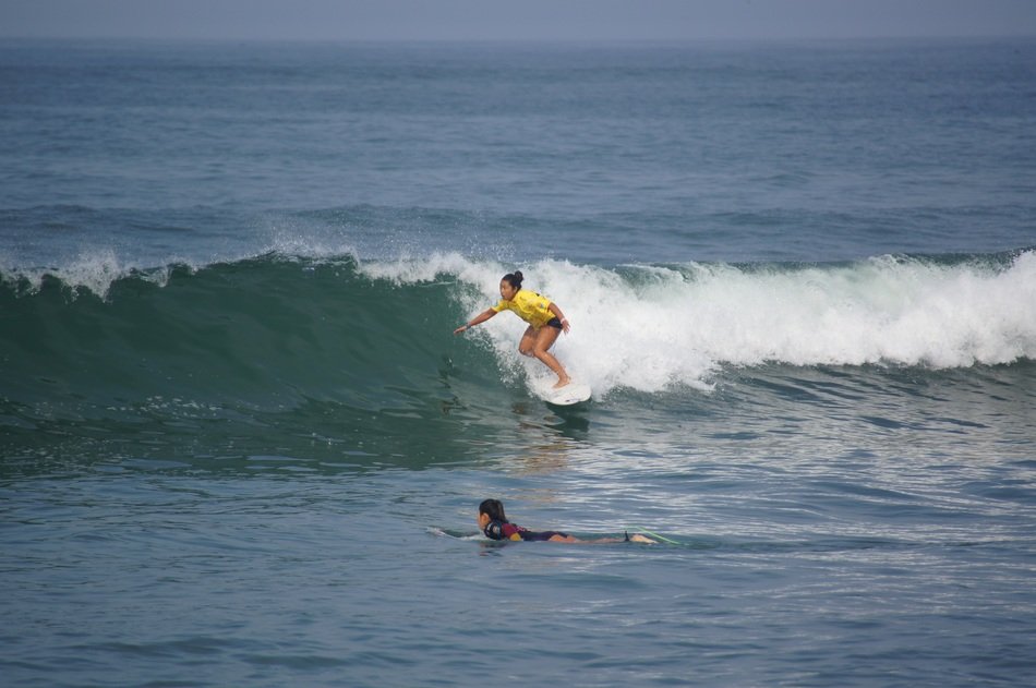 Surfer on a wave free image download