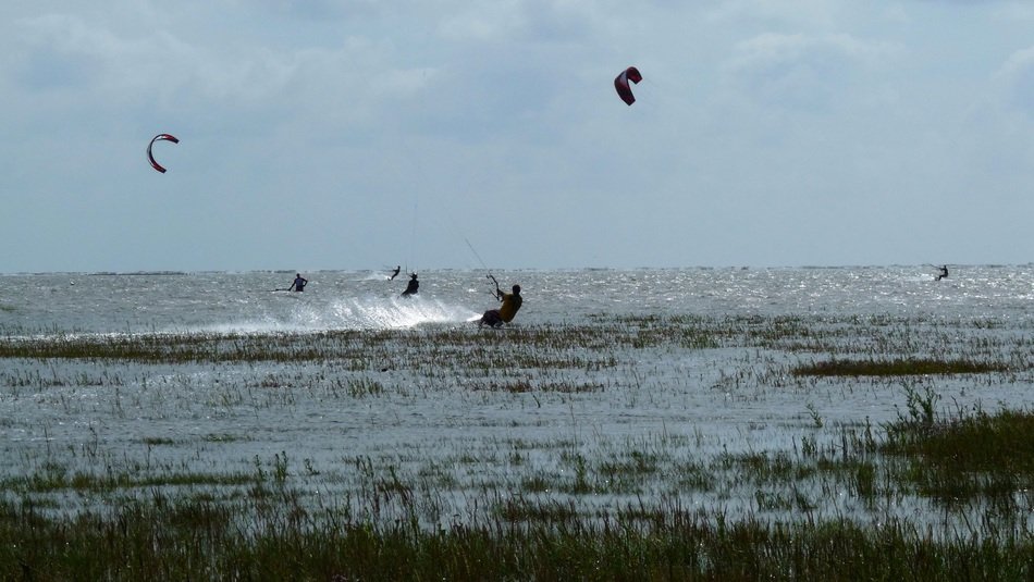 water sports kite