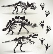 Dinosaur Foot Prints Tyrannosaurus Rex Stegosaurus Triceratops