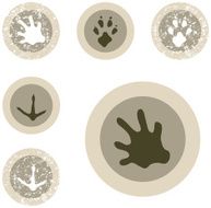 Wildlife Stamp Set - 06 of 12