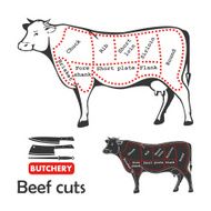 Beef Cuts N5