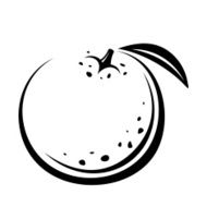 Orange fruit Vector black contour drawing