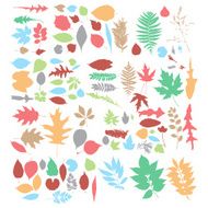Leaf collection - vector silhouette N2