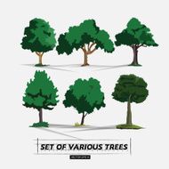 set of tree - vector illustration