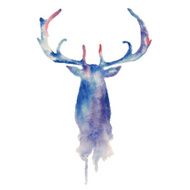Deer N65