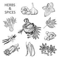 Herbs And Spices N4