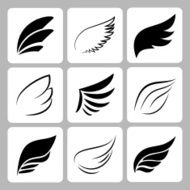 vector wings set N2