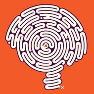 Brain Maze N6