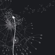 Abstract dandelion in the wind