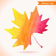 Watercolor colorful vector leaf Vector illustration N5