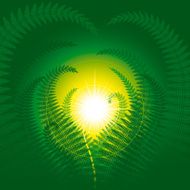 Magic fern